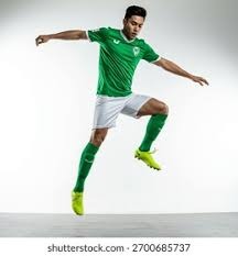 大谷翔平在 2024 年季前预测中，被各大媒体一致认为是道奇夺冠的核心引擎